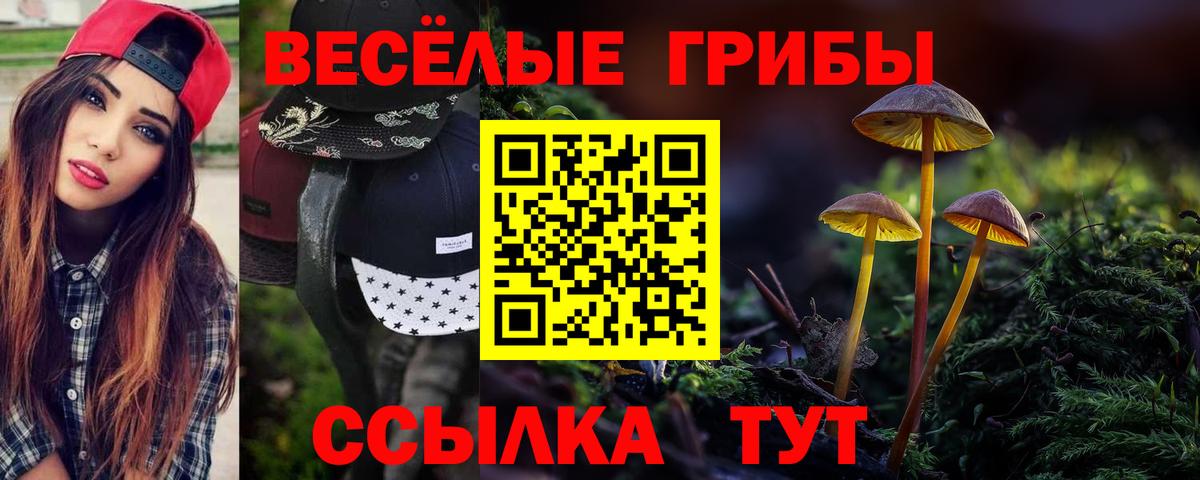 Серов  Галлюциногенные грибы Cubensis  Вход с VPN 